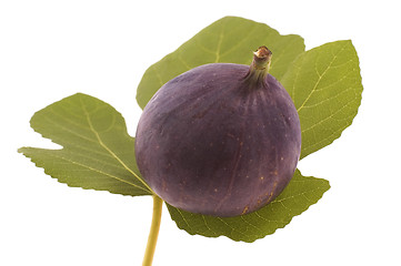 Image showing figs on the leaf