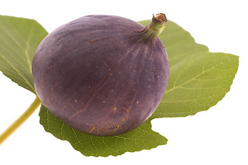 Image showing figs on the leaf