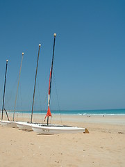 Image showing Catamarans