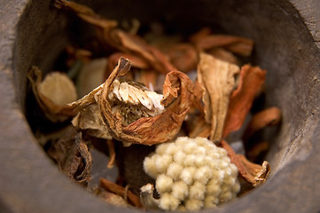 Image showing dried tea