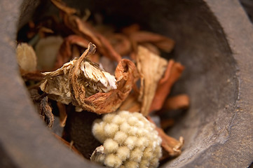 Image showing dried tea