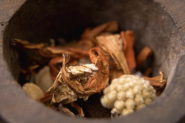 Image showing dried tea