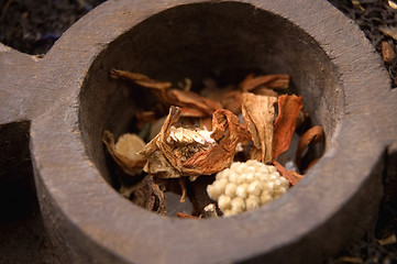 Image showing dried tea