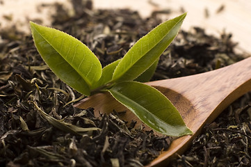 Image showing tea