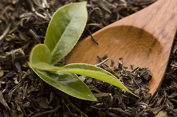 Image showing tea