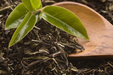 Image showing tea