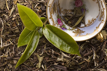 Image showing tea