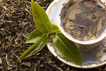 Image showing tea