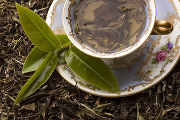 Image showing tea