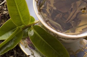 Image showing tea