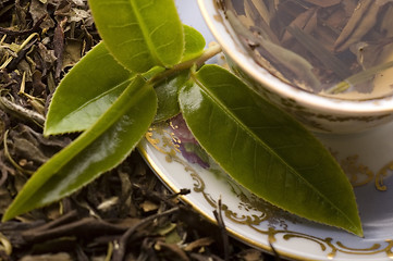 Image showing tea