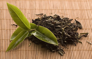 Image showing tea