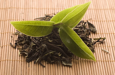 Image showing tea