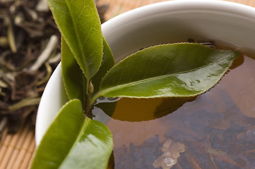 Image showing green tea