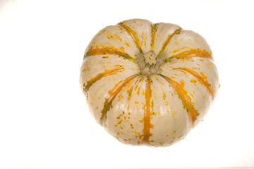 Image showing Ornamental Squash 3