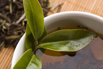 Image showing green tea