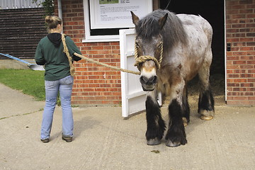 Image showing horse outside stables