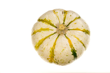 Image showing Ornamental Squash 4