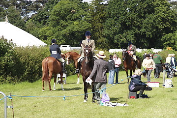 Image showing parading horses on show