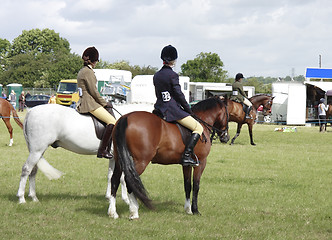 Image showing parading horses on show