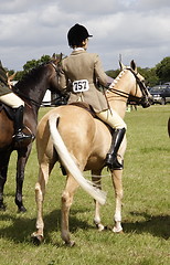 Image showing parading horses on show