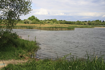 Image showing lake for the wildlife