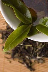 Image showing green tea