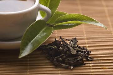 Image showing green tea