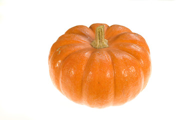 Image showing Pumpkin 4