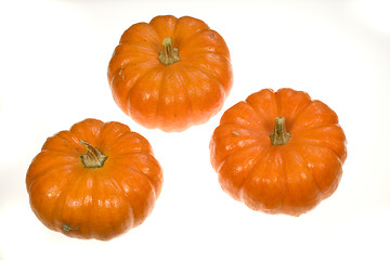 Image showing Three Pumpkins