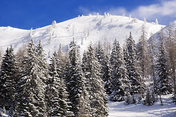 Image showing winter