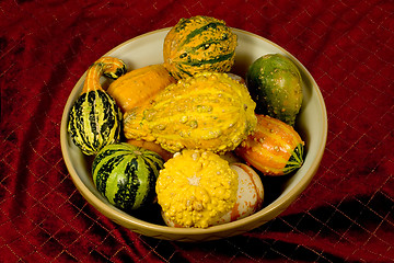 Image showing Bowl of Ornamental Squash