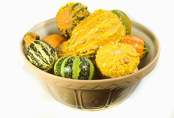 Image showing Bowl of Ornamental Squash