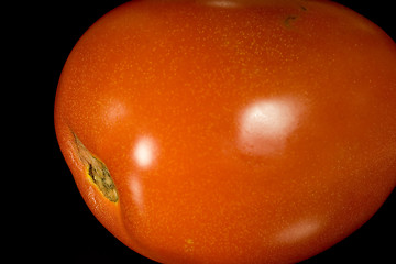 Image showing Italian Plum Tomato