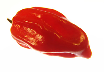 Image showing Red Paprika