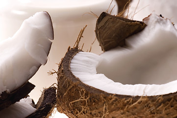 Image showing open coconut