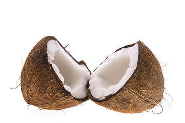 Image showing coconut