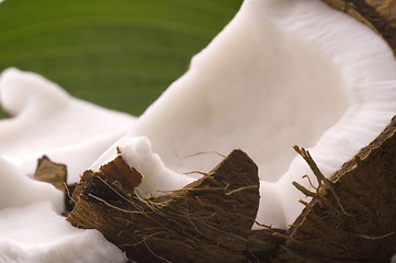 Image showing open coconut and green leaf. exotic