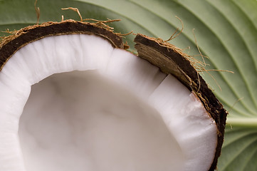 Image showing open coconut and green leaf. exotic