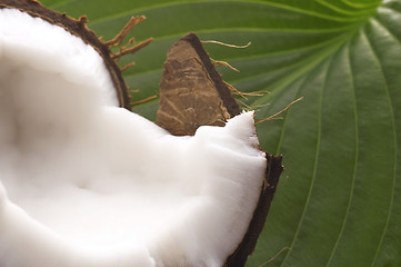 Image showing open coconut and resh green leaf