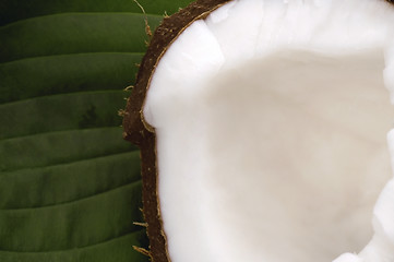 Image showing open coconut and green leaf. exotic