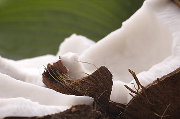 Image showing open coconut and green leaf. exotic