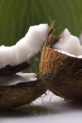 Image showing open coconut and resh green leaf