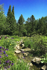 Image showing summer landscape. river