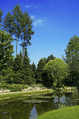 Image showing summer scenic. lake