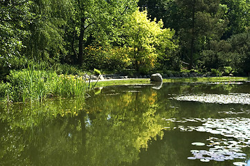 Image showing summer scenic. lake