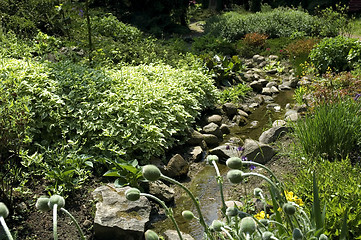 Image showing summer scenic. river