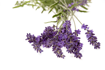 Image showing lavender bath