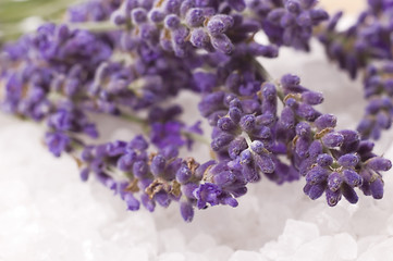 Image showing lavender bath