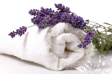 Image showing lavender bath
